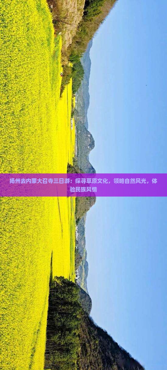 扬州去内蒙大召寺三日游：探寻草原文化，领略自然风光，体验民族风情