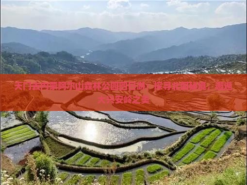 天门去内蒙阿尔山森林公园四日游：探寻北国秘境，邂逅大兴安岭之美