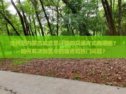 池州至内蒙古成吉思汗陵的交通方式有哪些？如何解决游览中的痛点和热门问题？