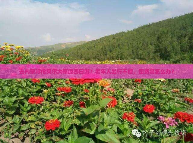 去内蒙呼伦贝尔大草原四日游？老年人出行不便、团费高怎么办？