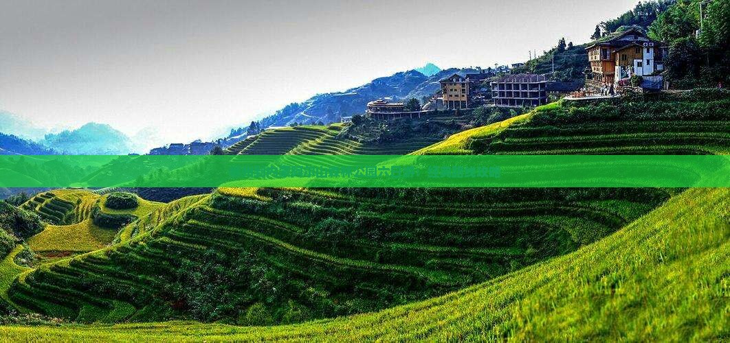 郴州到内蒙阿尔山森林公园六日游：经典路线攻略