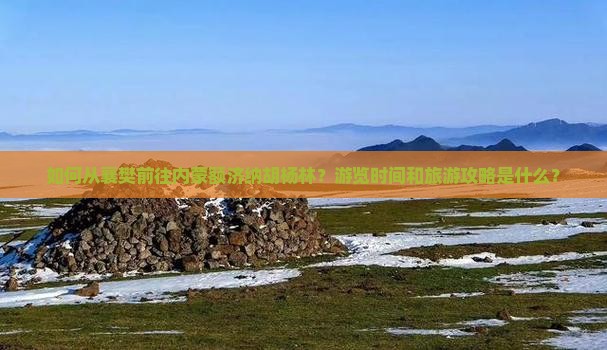 如何从襄樊前往内蒙额济纳胡杨林？游览时间和旅游攻略是什么？