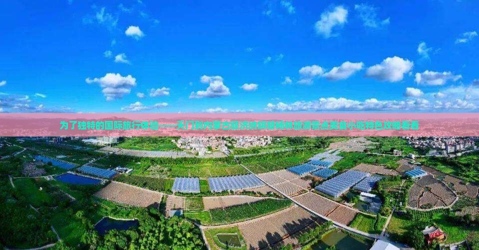 为了独特的国际旅行体验——天门到内蒙古额济纳旗胡杨林旅游景点美食小吃特色攻略看看