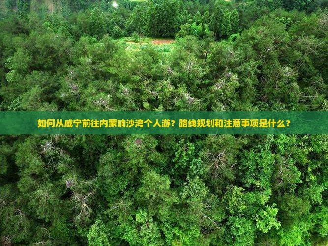 如何从咸宁前往内蒙响沙湾个人游？路线规划和注意事项是什么？