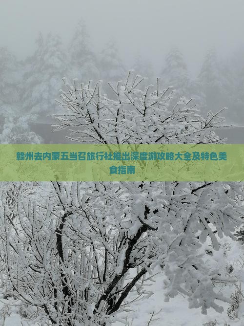赣州去内蒙五当召旅行社推出深度游攻略大全及特色美食指南