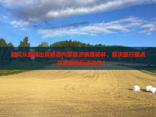 如何从盘锦出发畅游内蒙额济纳胡杨林，解决旅行痛点，掌握最新玩法攻略？
