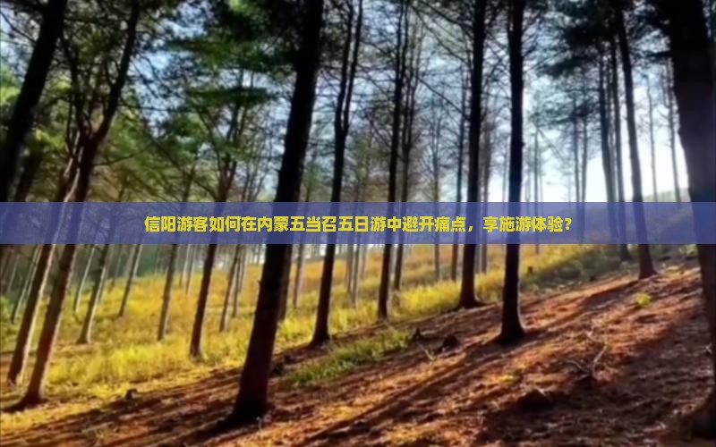 信阳游客如何在内蒙五当召五日游中避开痛点，享施游体验？