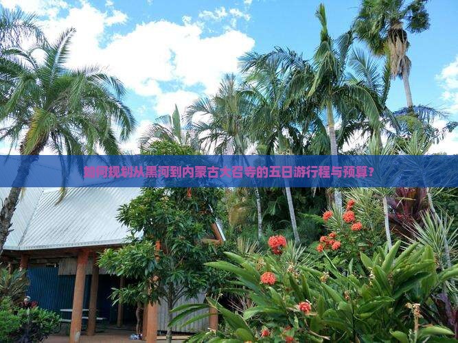 如何规划从黑河到内蒙古大召寺的五日游行程与预算？