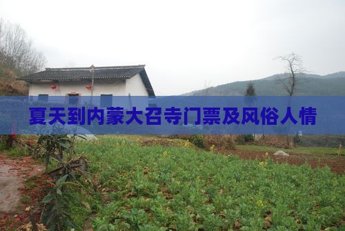夏天到内蒙大召寺门票及风俗人情