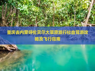 重庆去内蒙呼伦贝尔大草原旅行社自驾游攻略及飞行指南