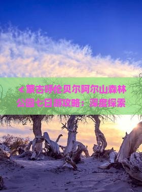 ≮蒙古呼伦贝尔阿尔山森林公园七日游攻略：深度探索阿尔山与内蒙风光》