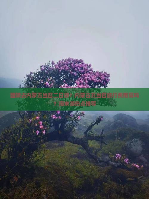 醴陵去内蒙五当召二日游？内蒙古五当召旅行费用高吗？周末游热点推荐