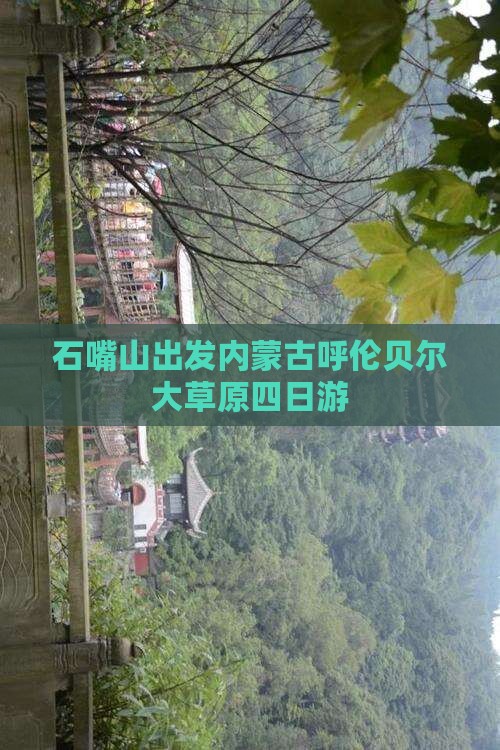 石嘴山出发内蒙古呼伦贝尔大草原四日游