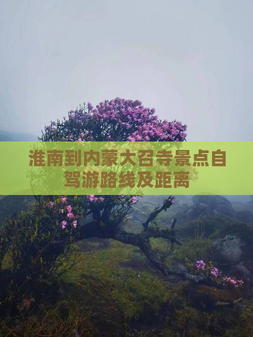 淮南到内蒙大召寺景点自驾游路线及距离