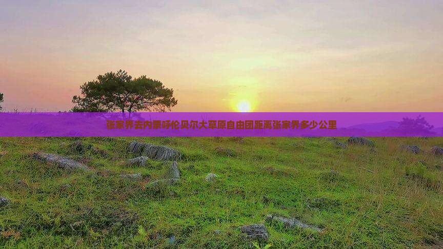 张家界去内蒙呼伦贝尔大草原自由团距离张家界多少公里