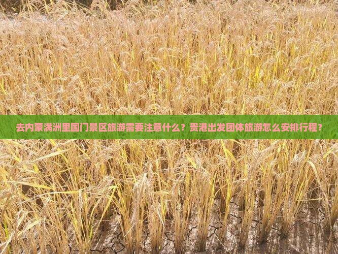 去内蒙满洲里国门景区旅游需要注意什么？贵港出发团体旅游怎么安排行程？