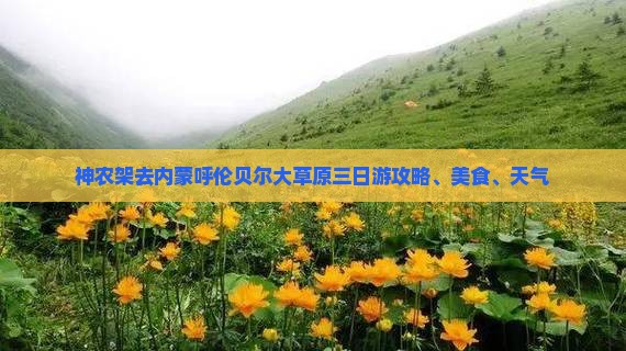 神农架去内蒙呼伦贝尔大草原三日游攻略、美食、天气
