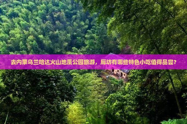 去内蒙乌兰哈达火山地质公园旅游，廊坊有哪些特色小吃值得品尝？