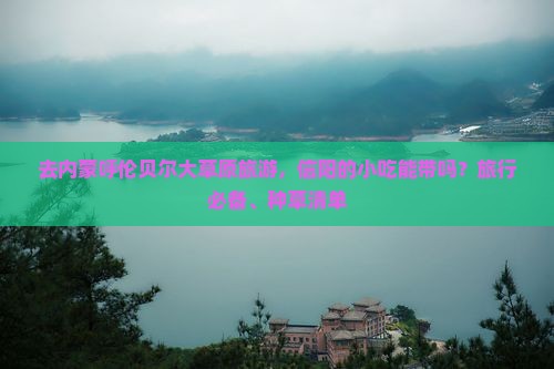 去内蒙呼伦贝尔大草原旅游，信阳的小吃能带吗？旅行必备、种草清单