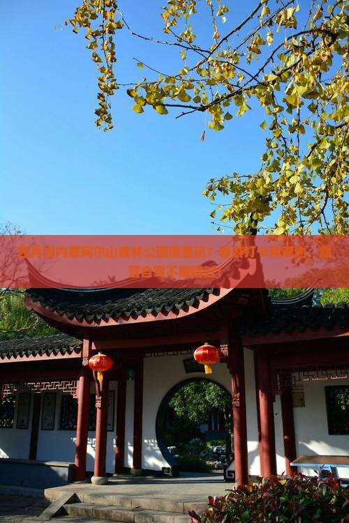 四月去内蒙阿尔山森林公园哪里玩？春游打卡种草地，露营自驾不能错过！