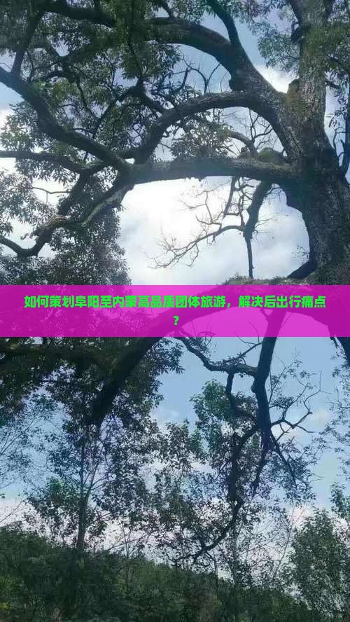 如何策划阜阳至内蒙高品质团体旅游，解决后出行痛点？