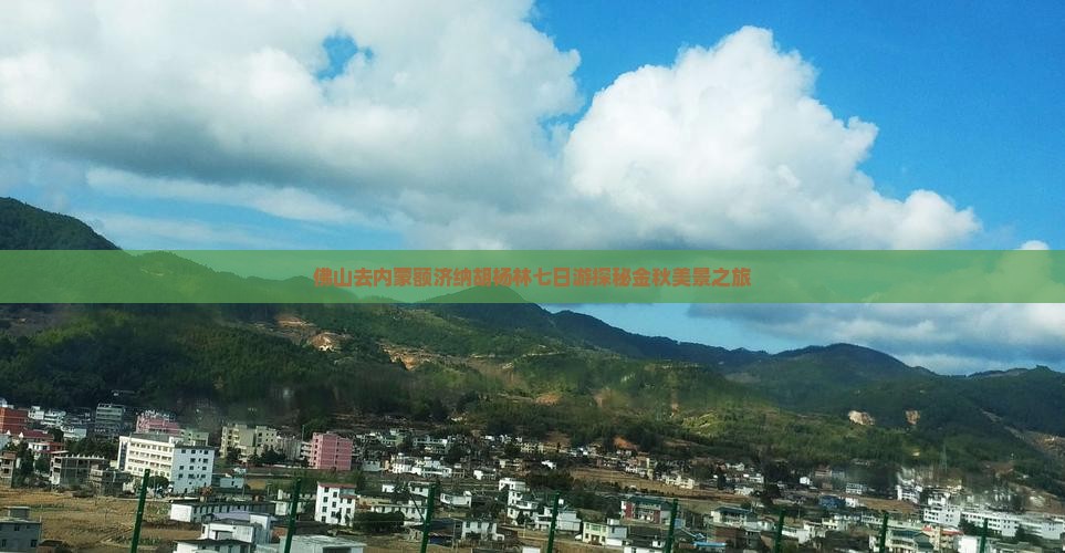 佛山去内蒙额济纳胡杨林七日游探秘金秋美景之旅