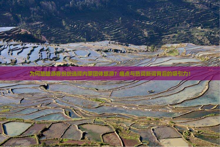为何楚雄游客纷纷选择内蒙团体旅游？痛点与热词新词背后的吸引力！