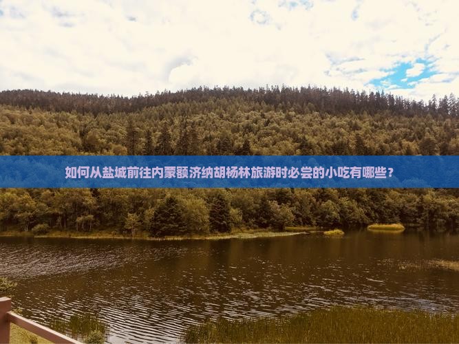 如何从盐城前往内蒙额济纳胡杨林旅游时必尝的小吃有哪些？