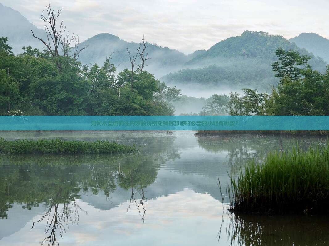 如何从盐城前往内蒙额济纳胡杨林旅游时必尝的小吃有哪些？