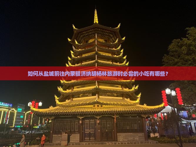 如何从盐城前往内蒙额济纳胡杨林旅游时必尝的小吃有哪些？