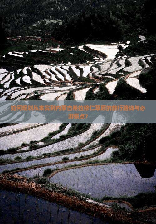 如何规划从来宾到内蒙古希拉穆仁草原的旅行路线与必游景点？