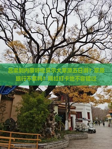 吕梁到内蒙呼伦贝尔大草原五日游？草原旅行不累吗？网红打卡地不容错过