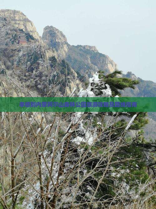 孝感到内蒙阿尔山森林公园旅游攻略及路线指南