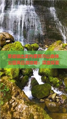 景德镇出发内蒙阿尔山森林公园两日游攻略：深度探索公园之美二日游