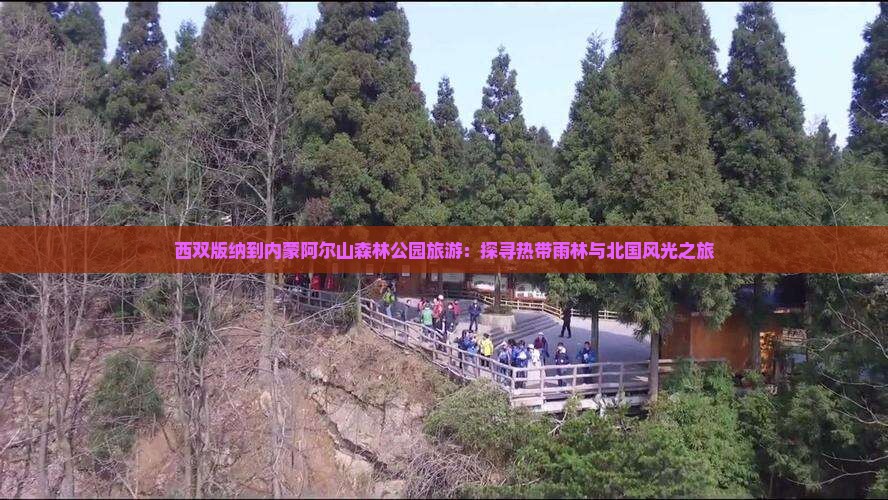 西双版纳到内蒙阿尔山森林公园旅游：探寻热带雨林与北国风光之旅