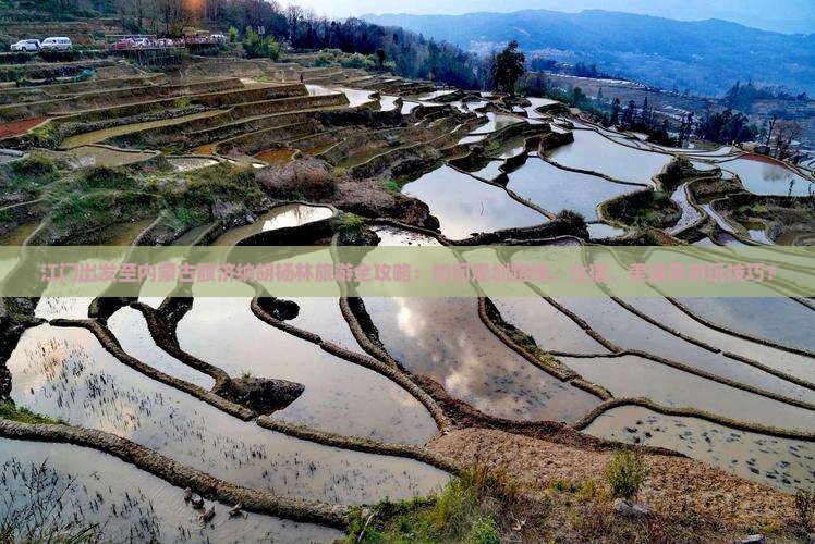 江门出发至内蒙古额济纳胡杨林旅游全攻略：如何规划路线、住宿、美食及游玩技巧？