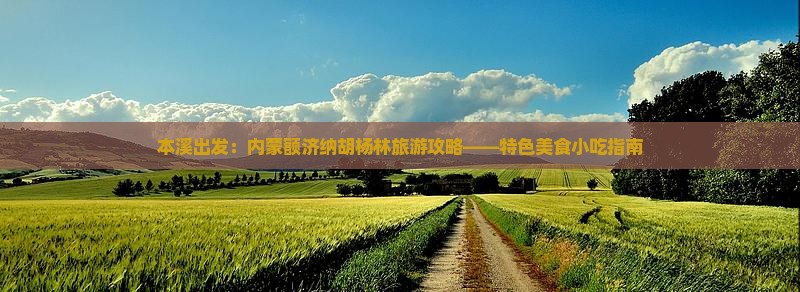本溪出发：内蒙额济纳胡杨林旅游攻略——特色美食小吃指南