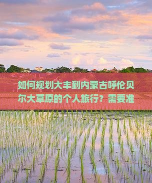 如何规划大丰到内蒙古呼伦贝尔大草原的个人旅行？需要准备什么？行程安排有哪些推荐？