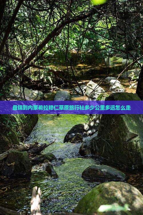 盘锦到内蒙希拉穆仁草原旅行社多少公里多远怎么走