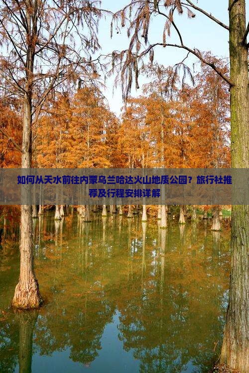 如何从天水前往内蒙乌兰哈达火山地质公园？旅行社推荐及行程安排详解