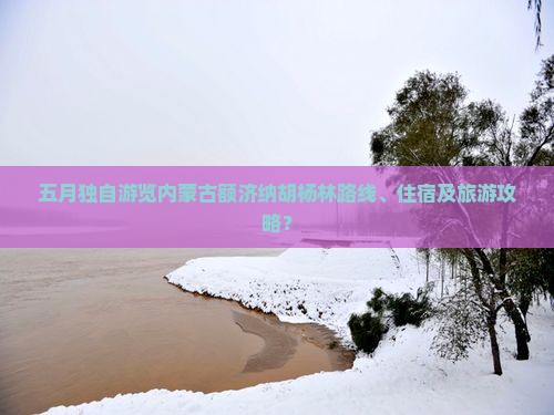 五月独自游览内蒙古额济纳胡杨林路线、住宿及旅游攻略？