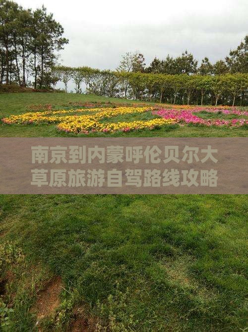 南京到内蒙呼伦贝尔大草原旅游自驾路线攻略