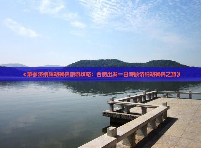≮蒙额济纳旗胡杨林旅游攻略：合肥出发一日游额济纳胡杨林之旅》