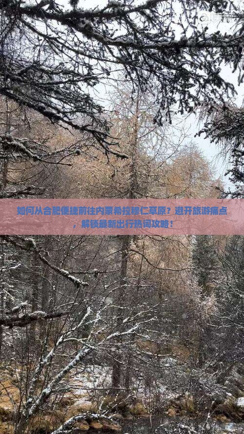 如何从合肥便捷前往内蒙希拉穆仁草原？避开旅游痛点，解锁最新出行热词攻略！