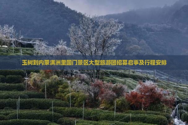 玉树到内蒙满洲里国门景区大型旅游团招募启事及行程安排