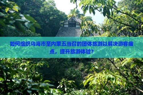 如何组织乌海市至内蒙五当召的团体旅游以解决游客痛点，提升旅游体验？