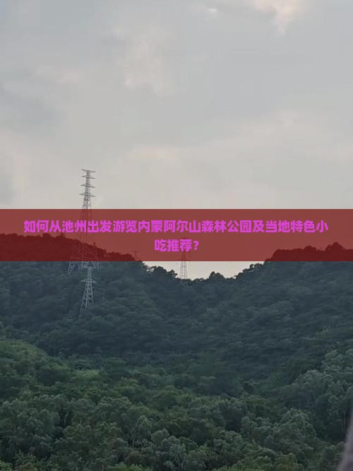 如何从池州出发游览内蒙阿尔山森林公园及当地特色小吃推荐？