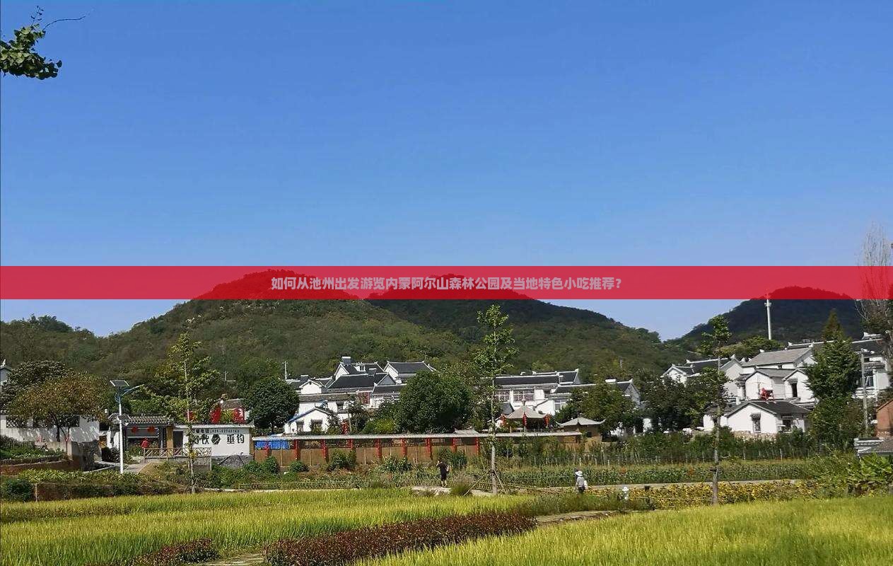 如何从池州出发游览内蒙阿尔山森林公园及当地特色小吃推荐？