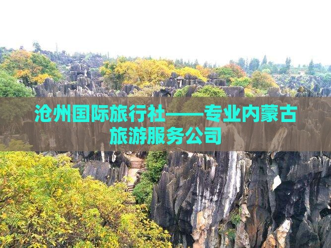 沧州国际旅行社——专业内蒙古旅游服务公司