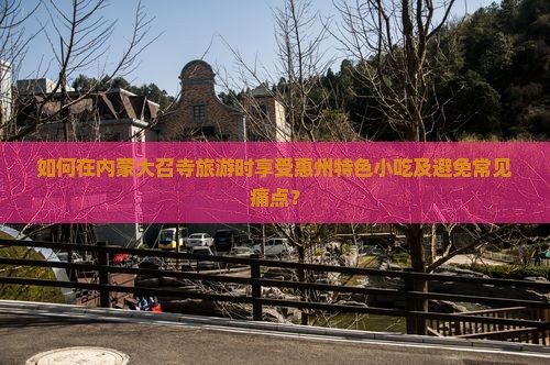 如何在内蒙大召寺旅游时享受惠州特色小吃及避免常见痛点？